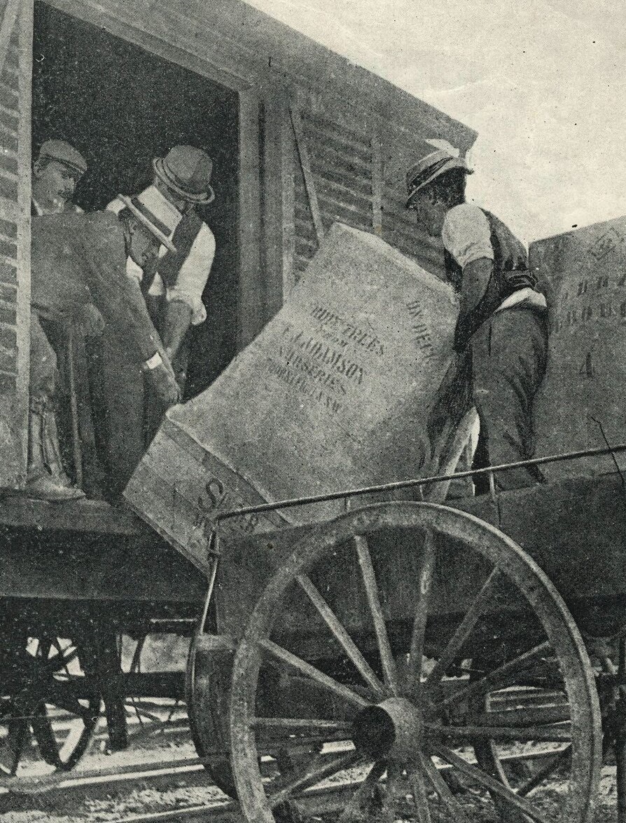 The Northern Milling Company, Thornleigh 