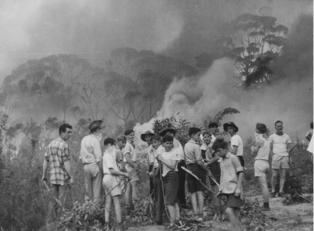 Bushfire at Mt Colah