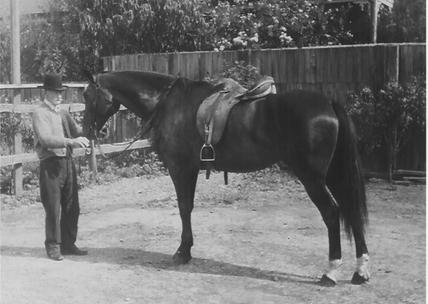 Jim Savage with 'Flying Peter'