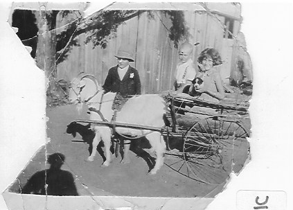 Bill and Roma Gainsford