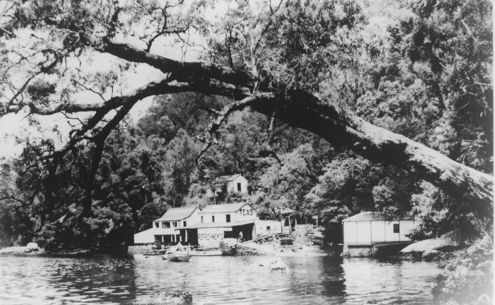 The Windybank Family