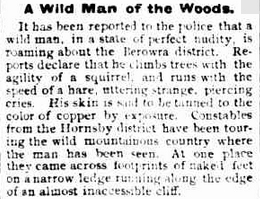 Wild man of Berowra