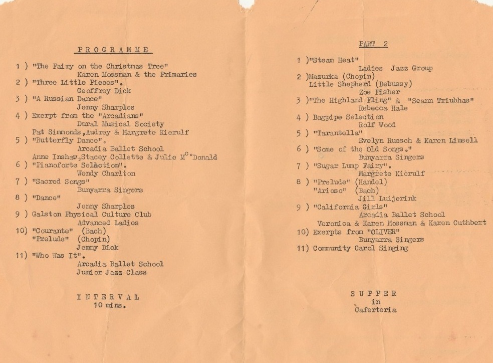 Concert at Vision Valley, Arcadia