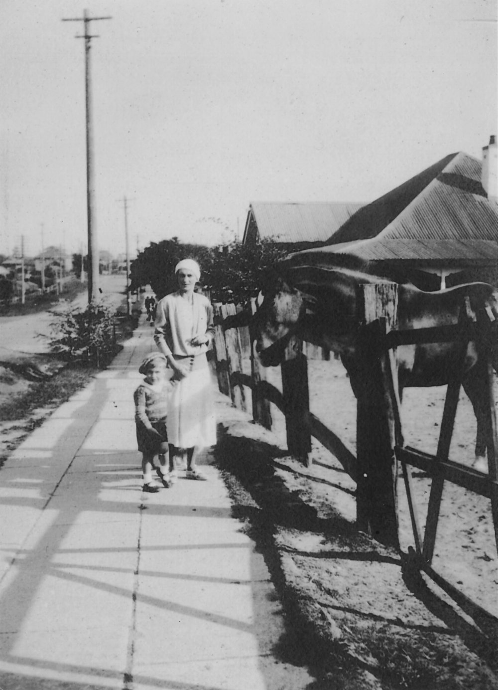 Somerville's Horse Paddock