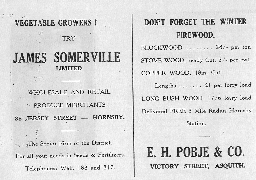 Advertisement for James Somerville Limited