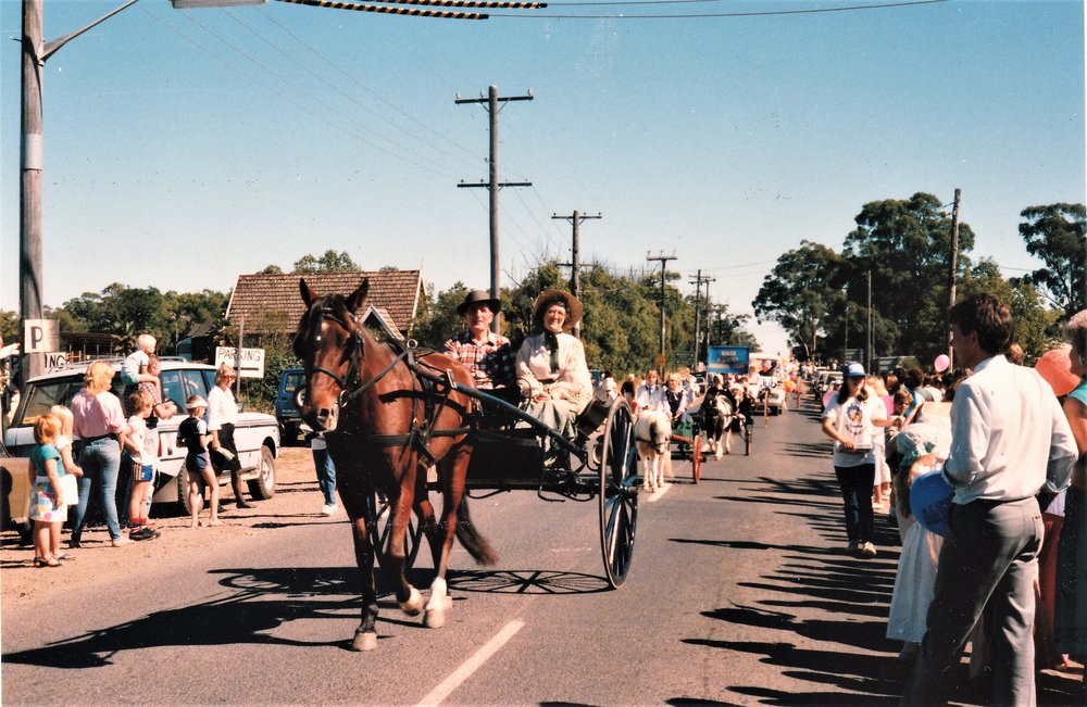 Galston Centenary Parade -  Bay horse in harness 1986
