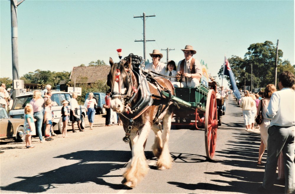Galston Centenary Parade - Clydesdale in harness 1986