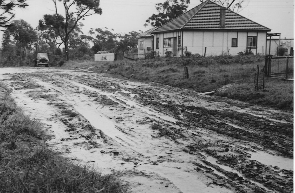 House in Mt. Kuring-gai