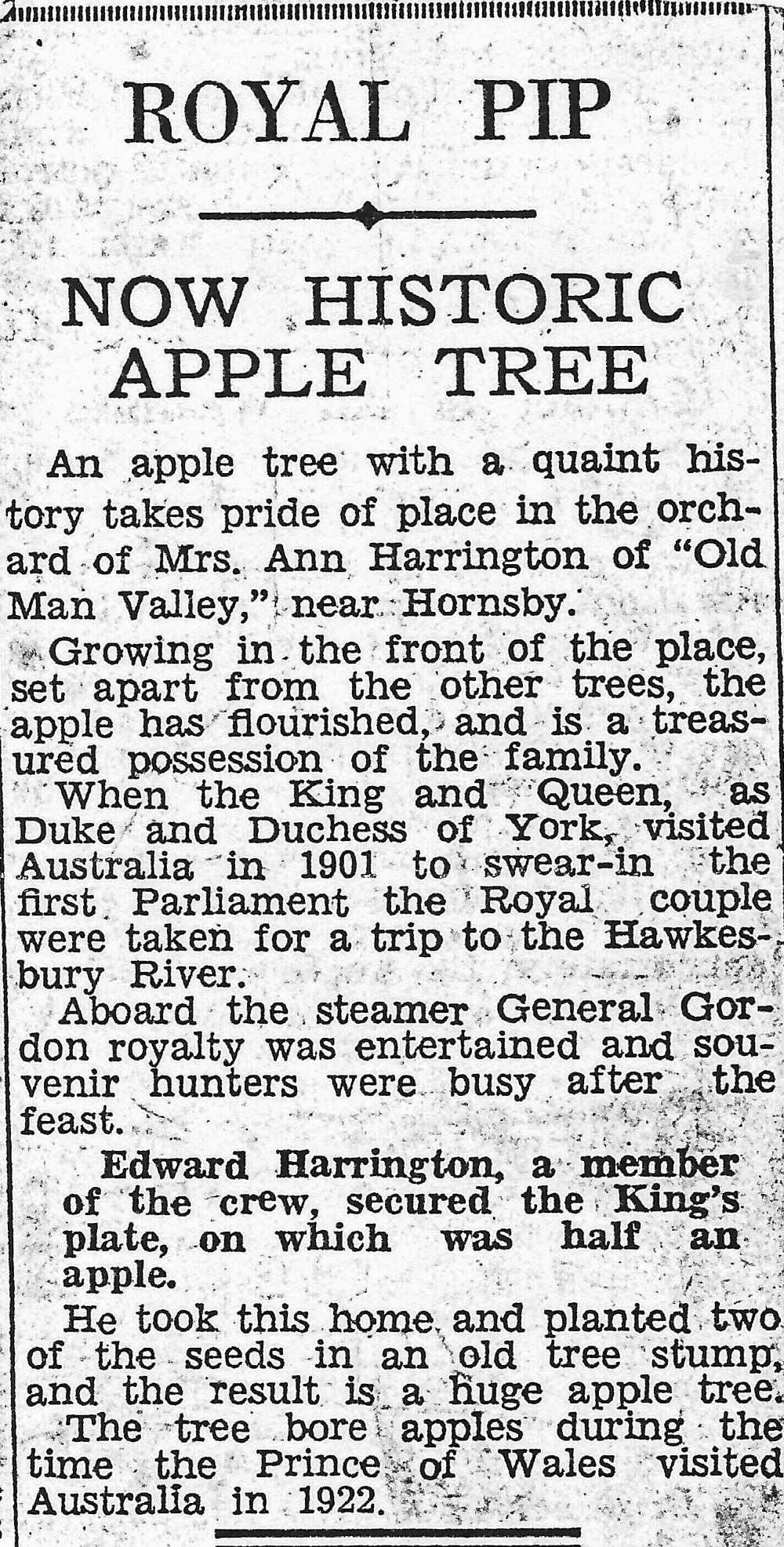 The Now Historic Apple Tree