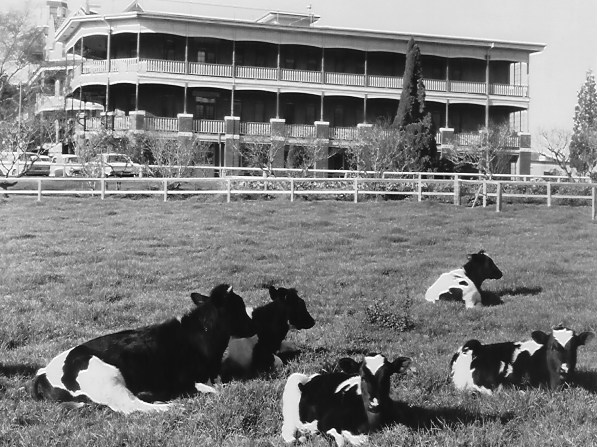 Sydney Adventist Hospital