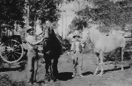 The horses used as models in artist George Lambert's "Across The Black Soil Plains"