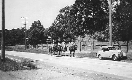 Jim Wilton's Riding School