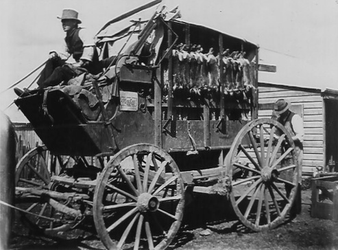 The Rabbito and His Wares