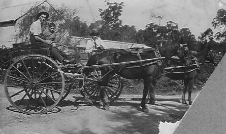 The Wahroonga Dairy Milk Cart