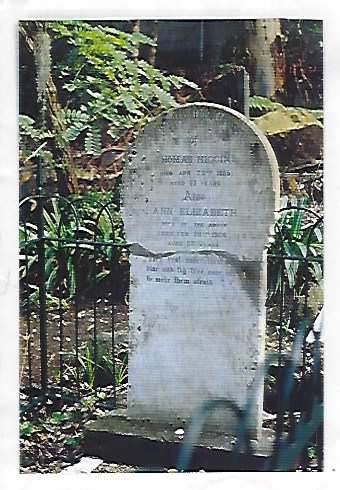Gravesite of Thomas and Ann Higgins