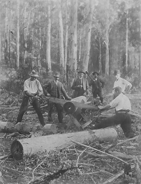 Cutting timber in Old Mans Valley