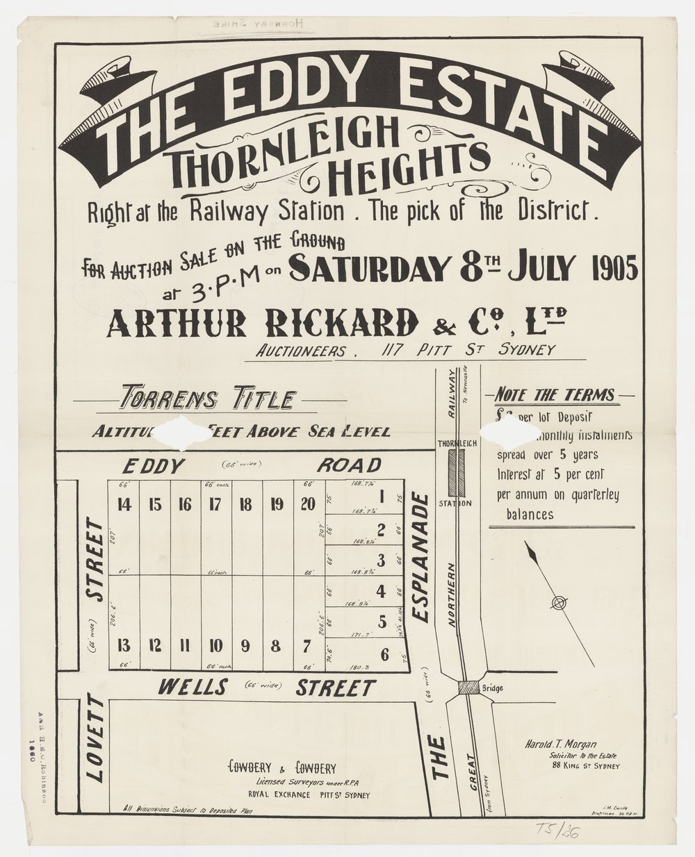 The Eddy Estate Thornleigh Heights