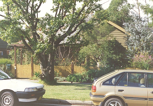 'Wallumeda' 5 Orchard Street, Thornleigh