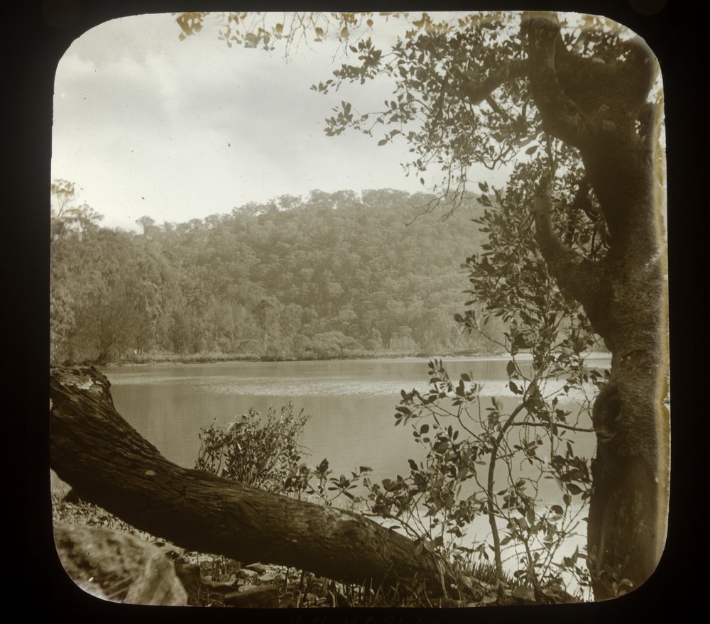 On Berowra Creek