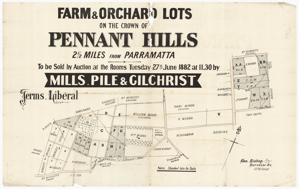 Farm and Orchard lots - Pennant Hills