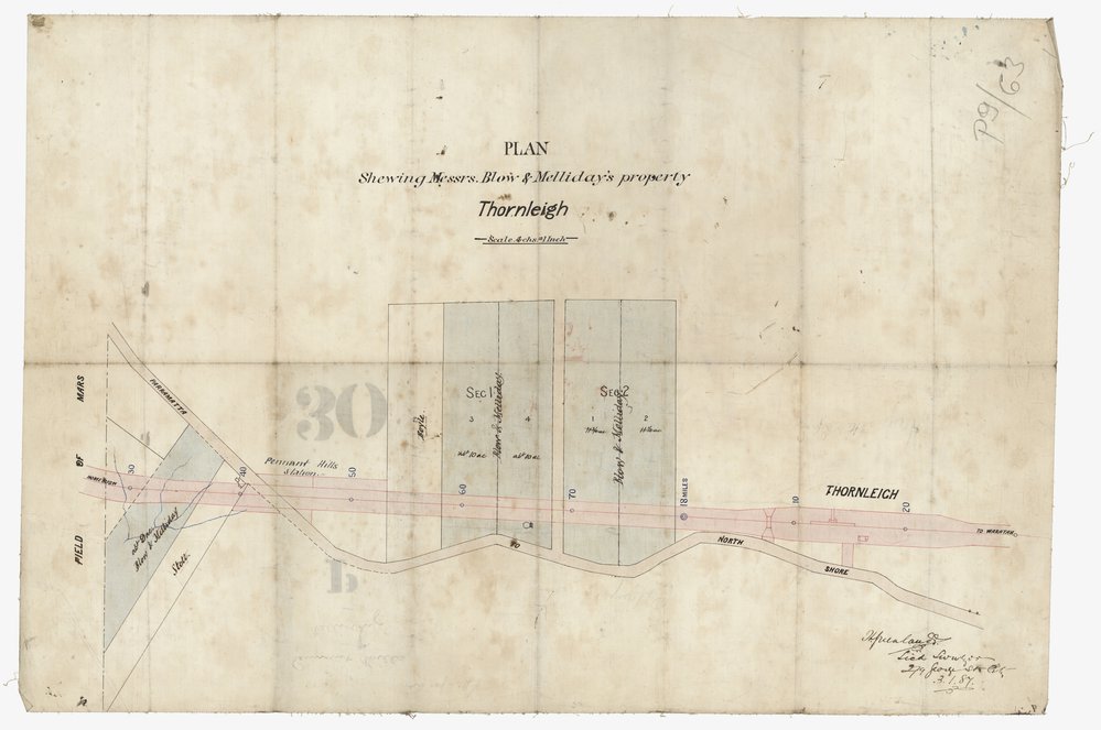 Plan showing Messrs. Blow and Melliday's property - Thornleigh