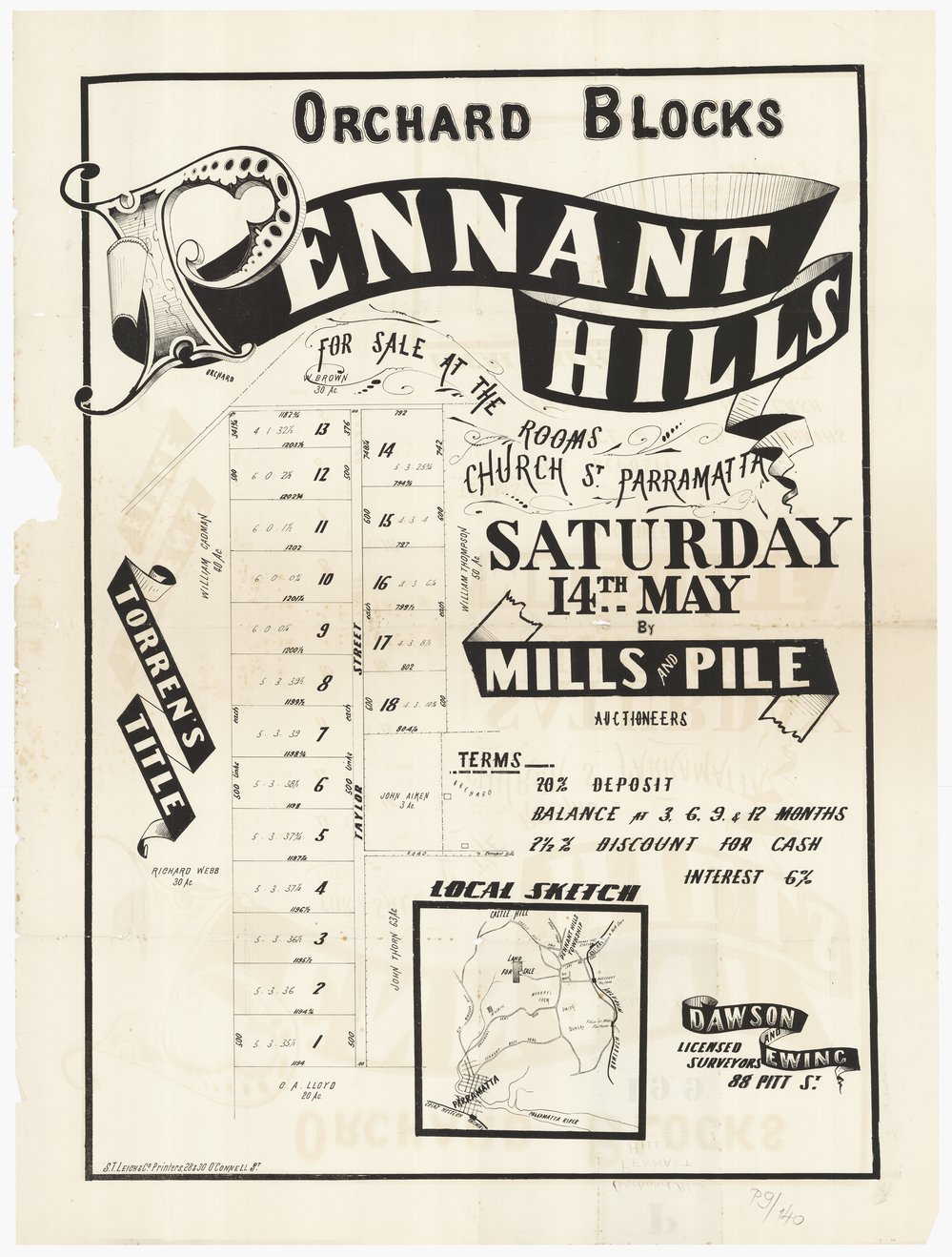Orchard blocks - Pennant Hills