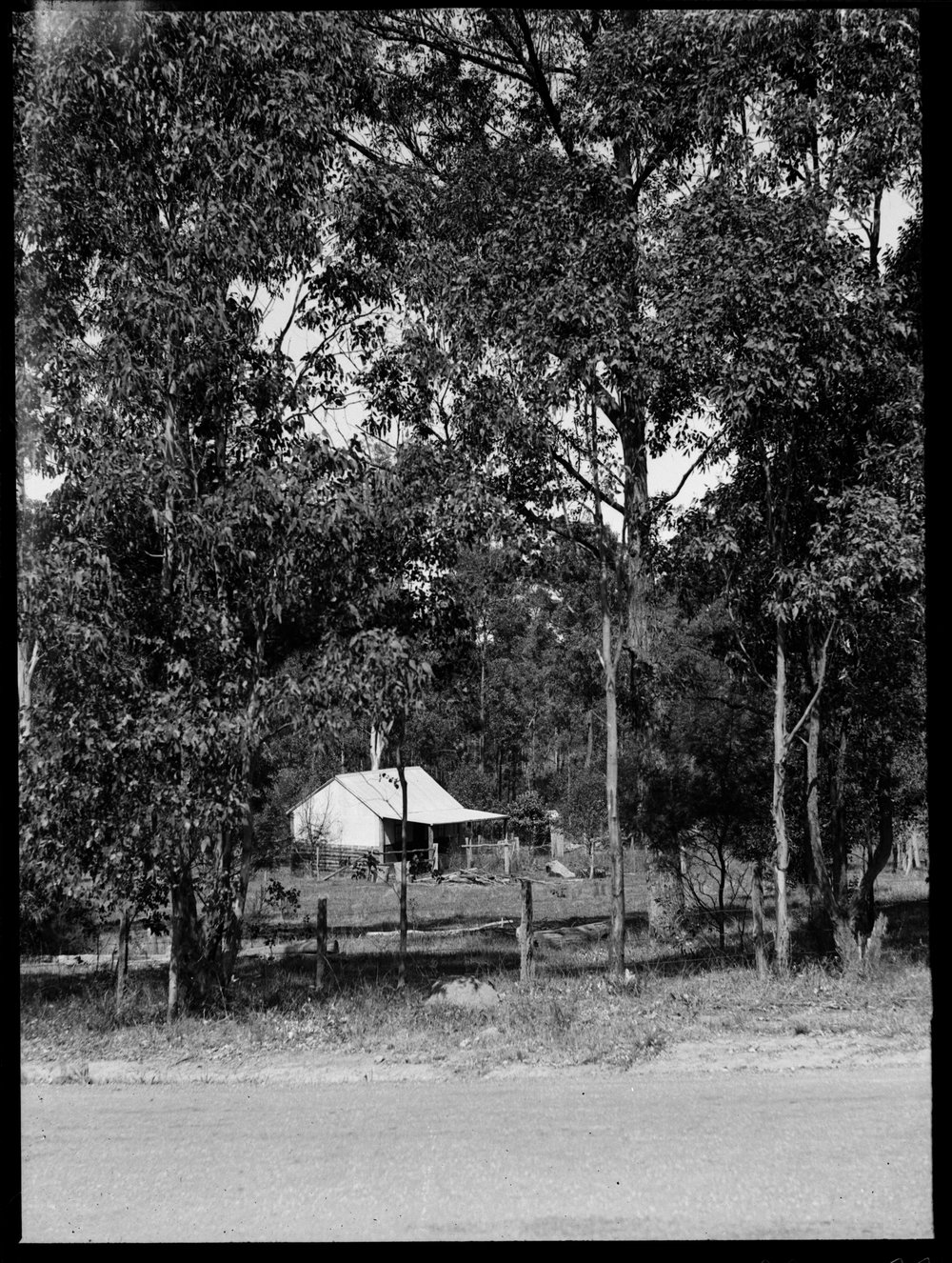 Solitude at Pennant Hills