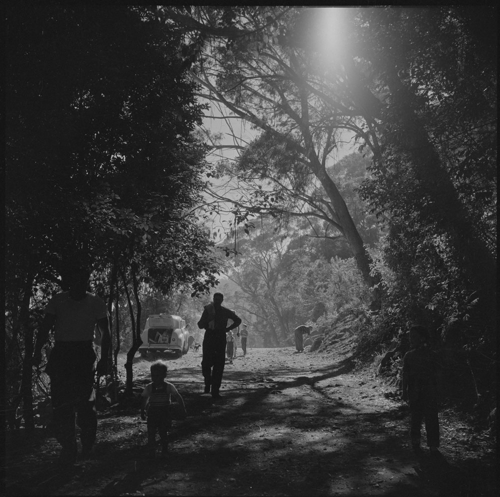 A day out in Berowra Waters