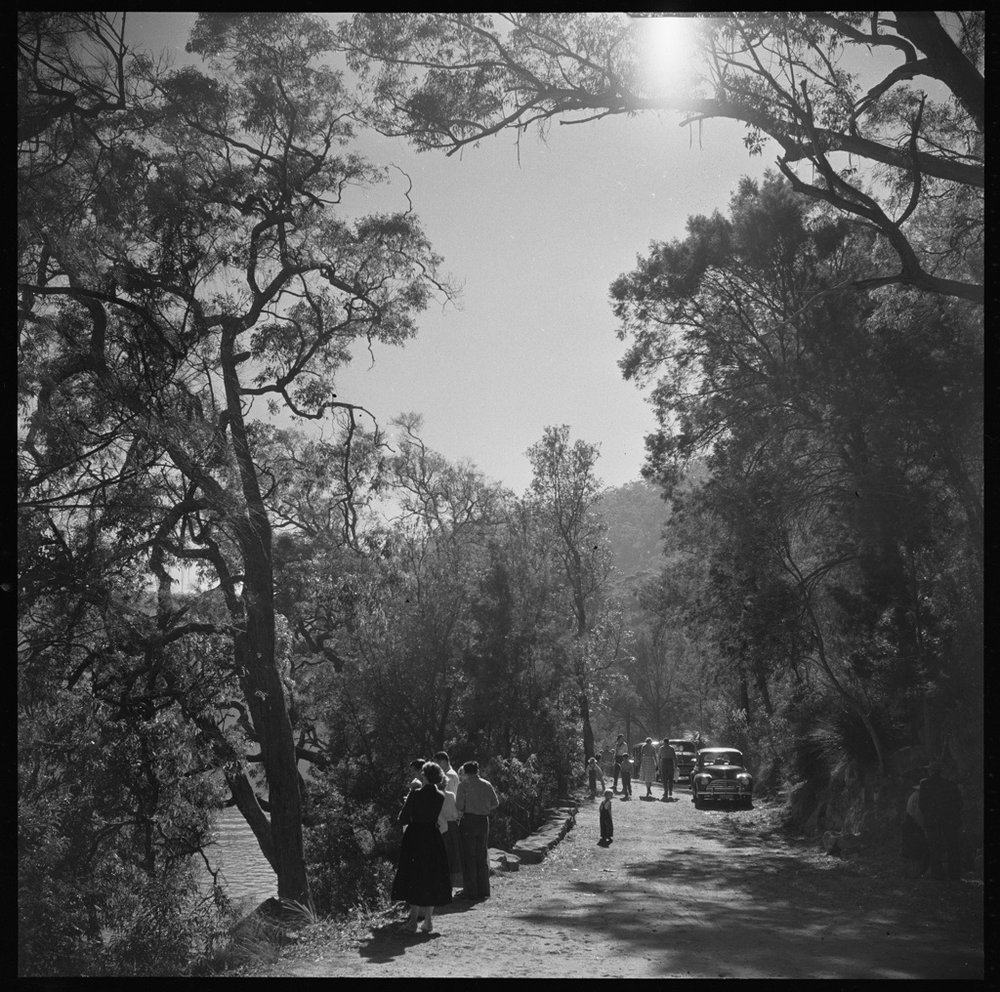 A day out in Berowra Waters