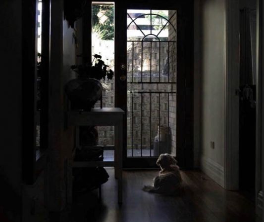 Finalist - Youth - Anita Quigley - Better times