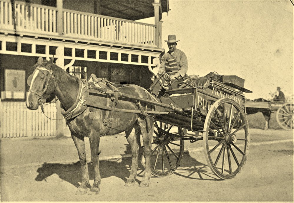 Hornsby Butchery Co. cart outside Irwin's Hotel, Waitara