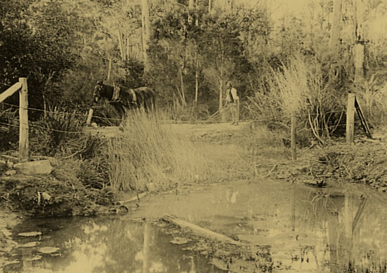 Ploughing near Devlins Creek, Epping, c 1900