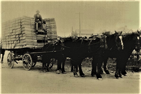A Wagon Load of Citrus