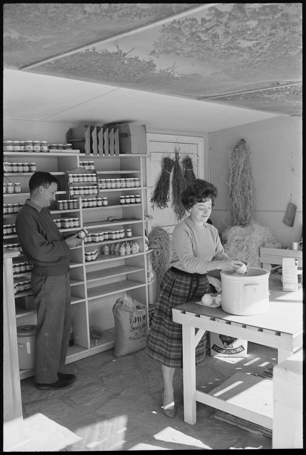 5 acre farm Dural - Somerset Nursery