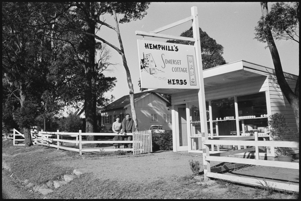 5 acre farm Dural - Somerset Nursery