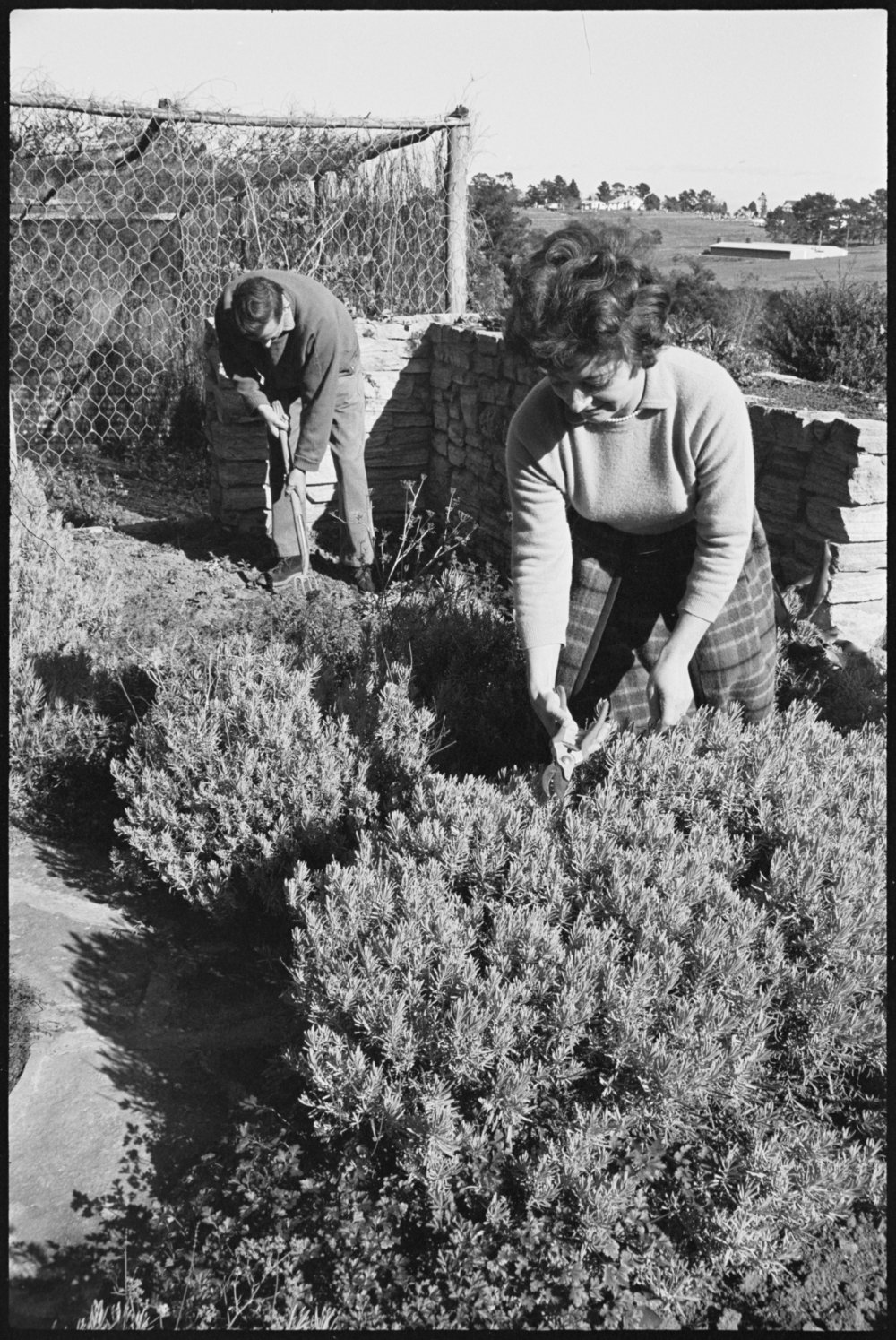 5 acre farm Dural - Somerset Nursery