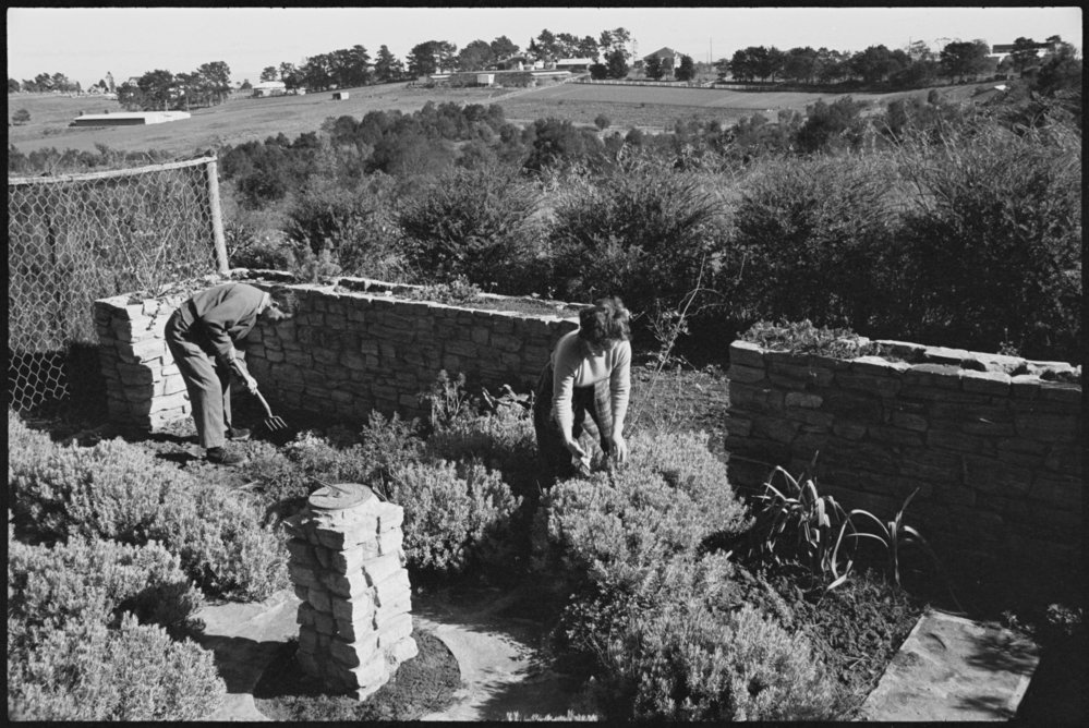 5 acre farm Dural - Somerset Nursery