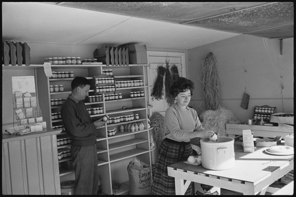 5 acre farm Dural - Somerset Nursery