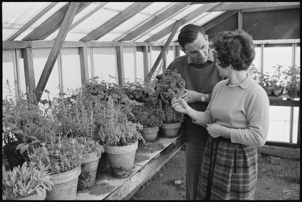 5 acre farm Dural - Somerset Nursery