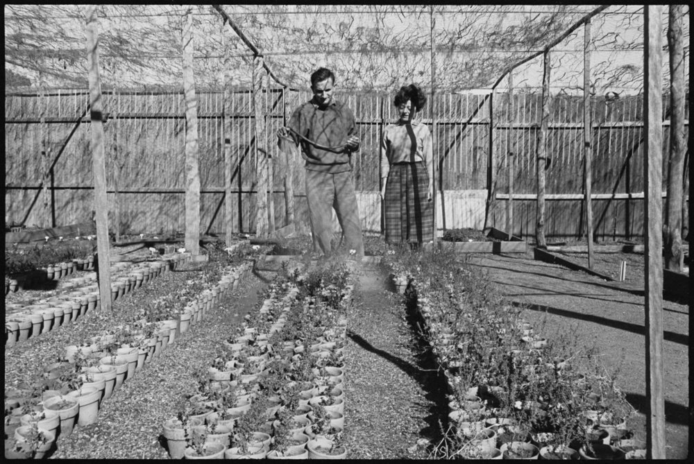 5 acre farm Dural - Somerset Nursery