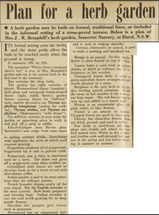 Plan for a herb garden 