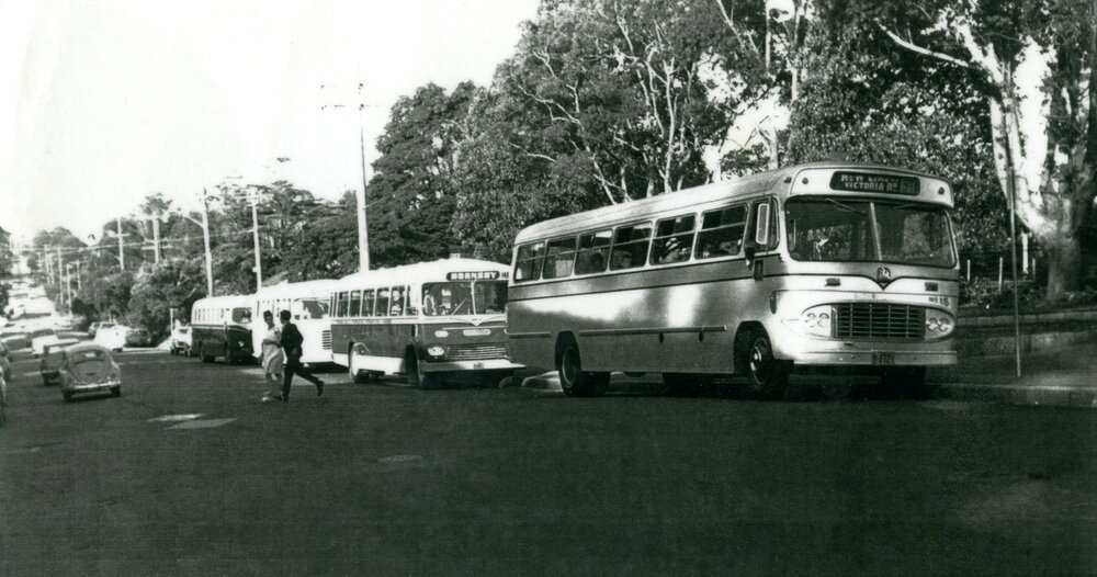 Buses in Pennant Hills