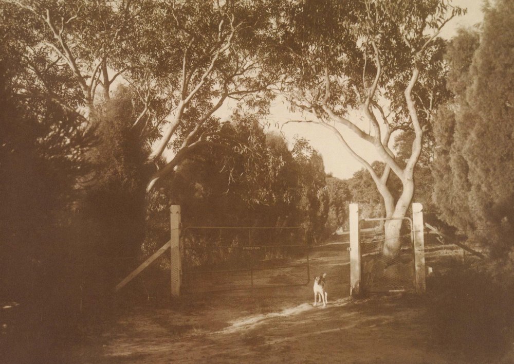 Margaret and William Preston's Berowra property