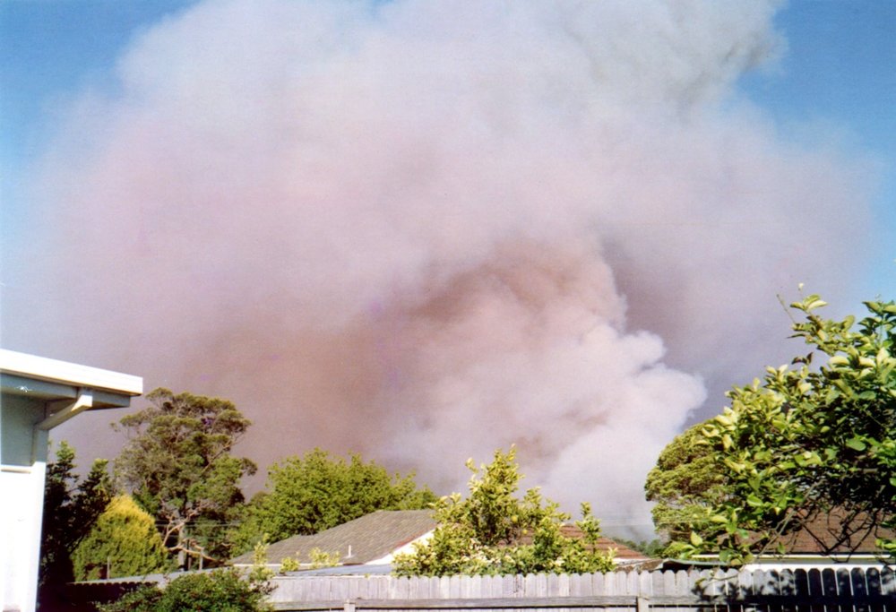 Bushfire in Ku-ring-gai Chase