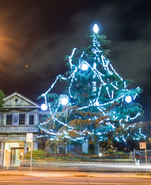 Hornsby Shire Council's Christmas Tree 2014