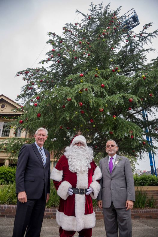 Hornsby Shire Council's Christmas Tree 2014