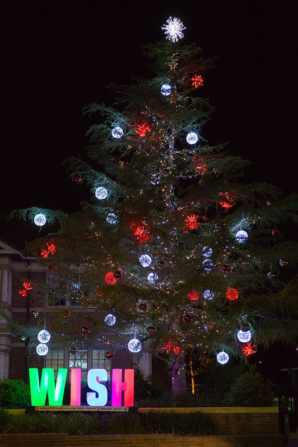 Hornsby Shire Council's Christmas Tree 2015
