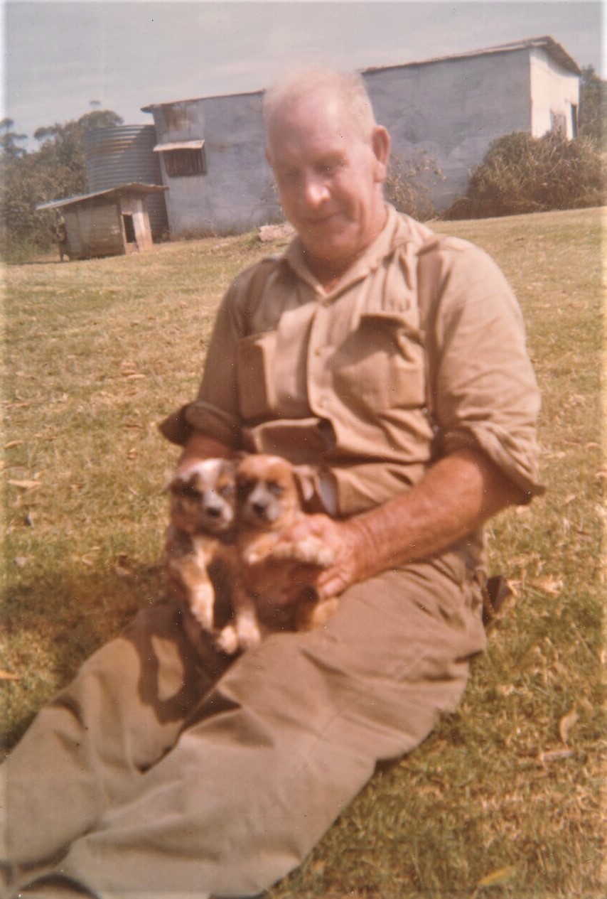 Phil Fishburn with cattle dog puppies c.1970s