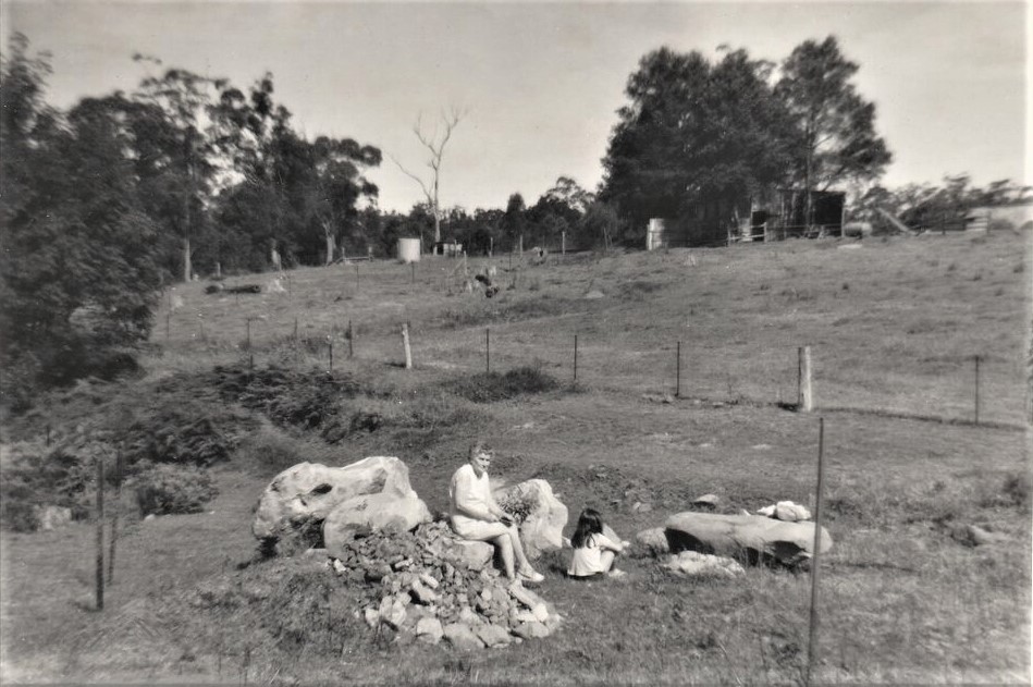 View across paddocks on Fishburns Road Galston 1973