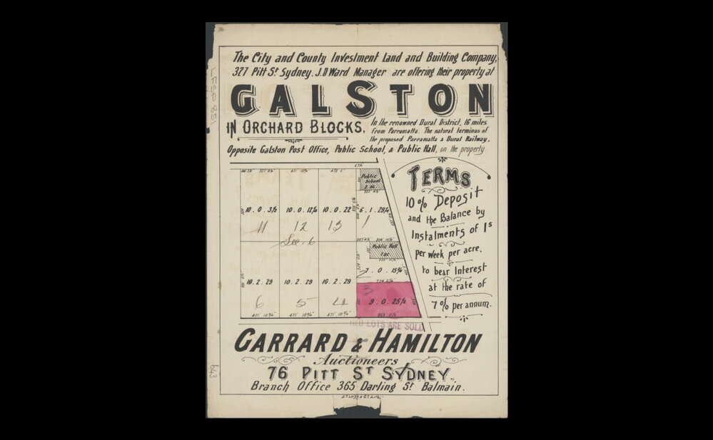Orchard blocks at Galston